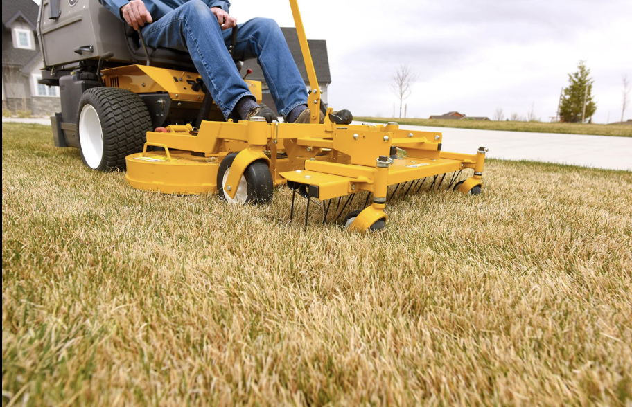 Spring Clean Up Thatching Spring Yard Clean-up & Dethatching | Rexburg, Idaho Falls, Rigby, ID